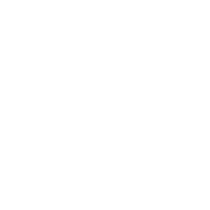 The Insightfuls logo